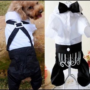 Doggy Tuxedo “Groom” Outfit